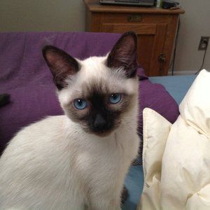 Meet your Posher, Linda